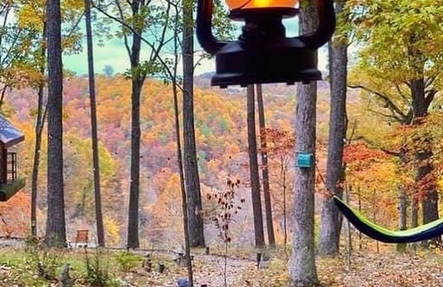 Eureka Springs Cabin | Scenic Mountain view cabin,Kayaks,public Lake Access in Eureka Springs