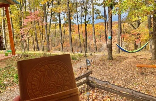 Eureka Springs Cabin | Scenic Mountain view cabin,Kayaks,public Lake Access in Eureka Springs