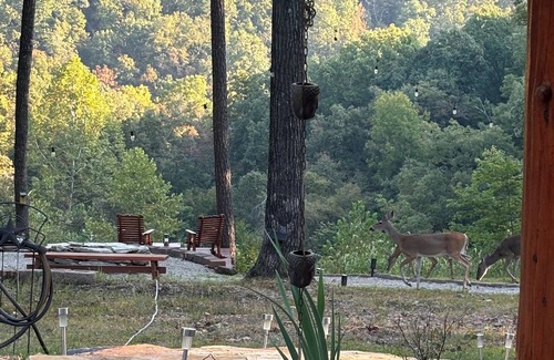 Eureka Springs Cabin | Scenic Mountain view cabin,Kayaks,public Lake Access in Eureka Springs