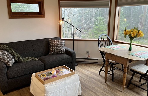 Quadra Island Apartment | Scenic ocean and mountain views from your living room.