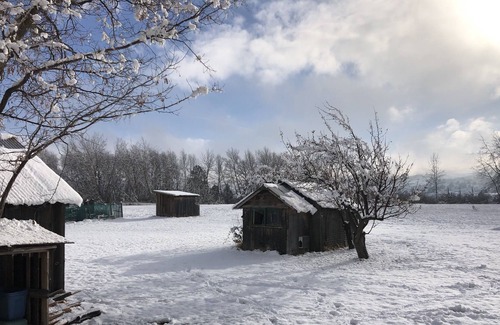 Maupin Cottage | Scenic One Bedroom Cottage