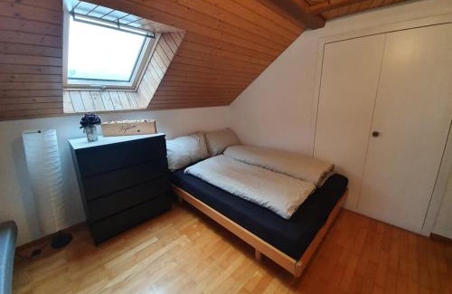 Menznau Apartment | Schöne 3 1/2 Zimmer Wohnung in der Zentralschweiz