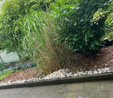 Hunger Apartment | Schöne Ferienwohnung mit Terrasse, nur 2 Minuten zur Autobahn