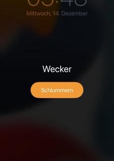 Juebek Apartment | Schöne Wohnung mit dem Garten