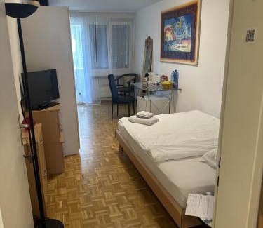 Basel Bed & Breakfast | Schönes Zimmer in der City Basel