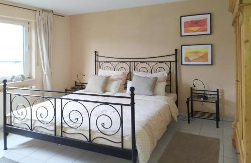 Mainz-Bingen Apartment | Schau-Rhein#1 - On top of Bacharach, Rhineview