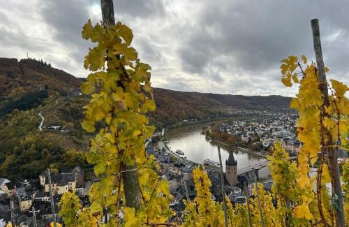 Kues Apartment | Schendels Suite