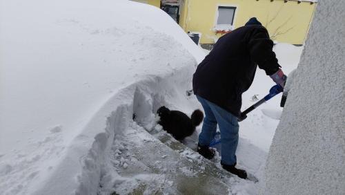 Gries Apartment | Schernthaner