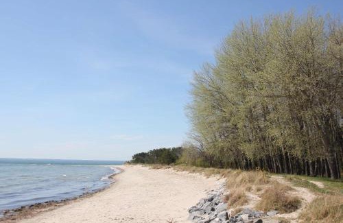 Thiessow Apartment | Schicke FeWo mit Terrasse, gratis Nutzung vom AHOI Erlebnisbad und Sauna in Sellin - Haus De niege Wech FeWo 01