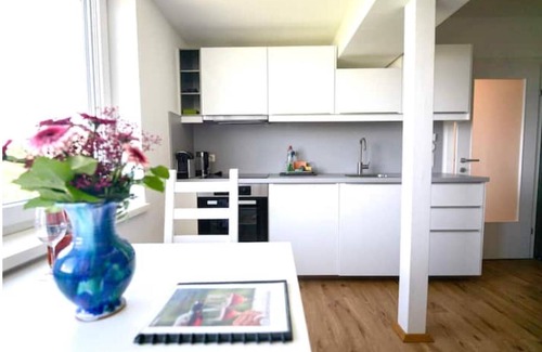 Sankt Stefan ob Stainz Apartment | Schilcherland Studio