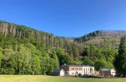 Harz Apartment | Schleiferei Zwei, Ferienwohnungen