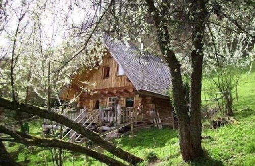 Le Hohwald Ski Chalet | Schlittor's chalet entirely made of logs