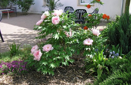 Triestewitz Apartment | Schloss Triestewitz