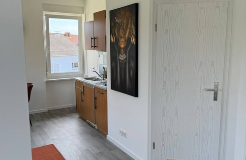 Waldshut-Tiengen Apartment | Schlossblick Isaak Apartment