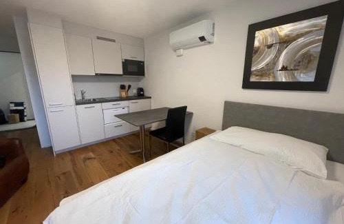 Rapperswil Apartment | SCHNYDER'S HOME - Studio 1