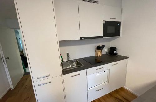 Rapperswil Apartment | SCHNYDER'S HOME - Studio 1