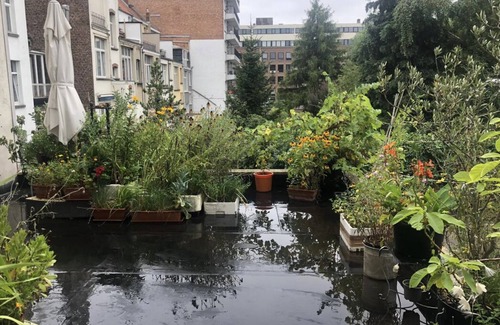 Etterbeek House | Schuman Apartment near European Commission