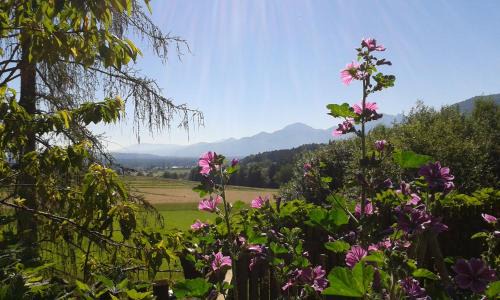 Bernau am Chiemsee House | Schusterhof Urlaub auf dem Bauernhof