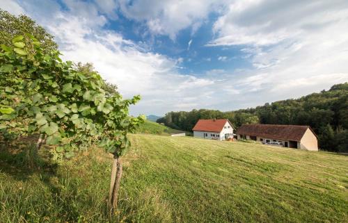 Gamlitz House | Schwalbennest Pongratz