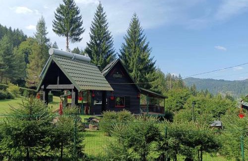 Lunca Bradului Ski Chalet | Schwarz Kabin