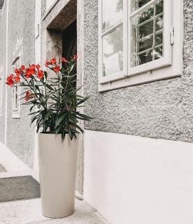 Ybbsitz Bed & Breakfast | Schwarzes Haus