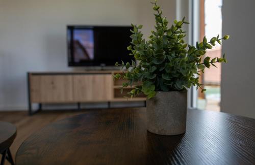 Albbruck Apartment | Schwarzwald Apartment