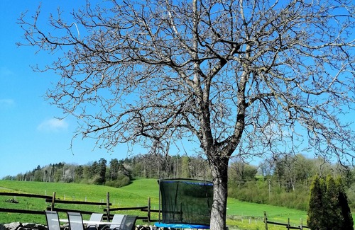 Albbruck Cabin | SchwarzwaldHof renovated cottage *Pasture view*