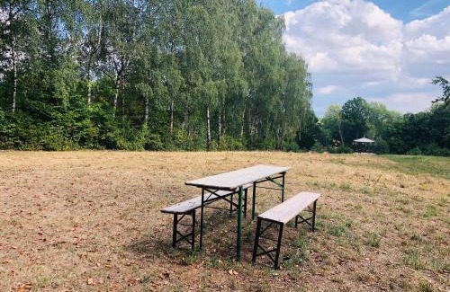 Potzwenden Other | Schwedischer Shelter unter Buchen