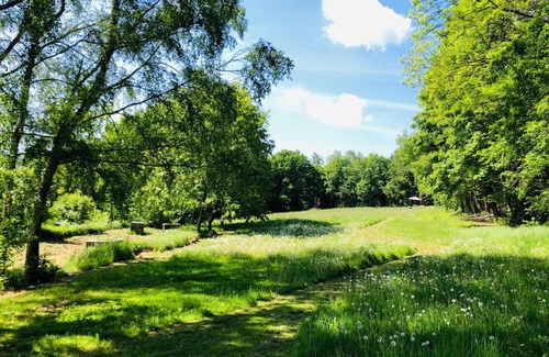 Potzwenden Other | Schwedischer Shelter unter Buchen