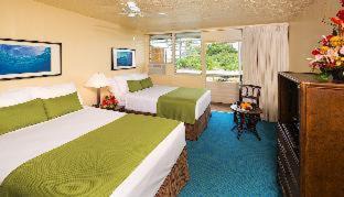 Hilo Hotel | SCP Hilo Hotel