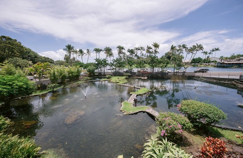 Hilo Hotel | SCP Hilo Hotel