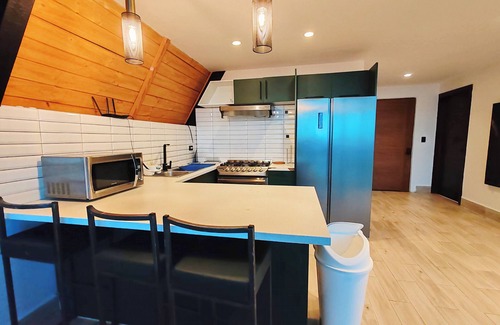 Pedro Brand Villa | SD 8BR Country Villas + Free Bonus