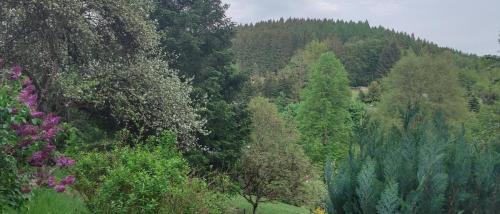 Suhl House | Seßles Waldhäusschen Dietzhausen