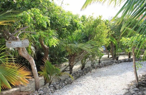 Hope Town Cottage | Sea Bean Cottage. As seen on HGTV’s Bahamas Life.