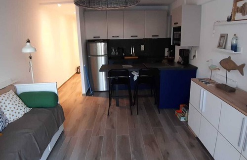 Golfe Juan Condo | SEA FRONT 2 PIECES GROUND FLOOR