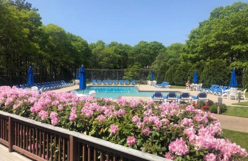Mashpee Resort | Sea Mist Resort