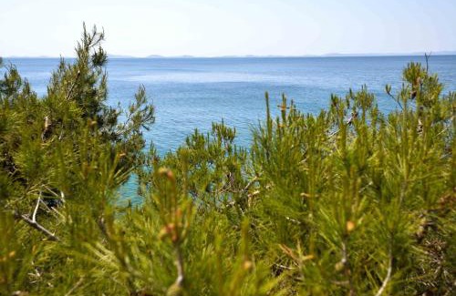 Susica Apartment | Sea Side Apartment