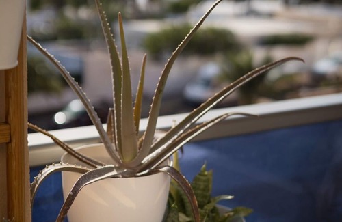 Esquinzo Apartment | Sea view apartment 4pax with pool near the beach