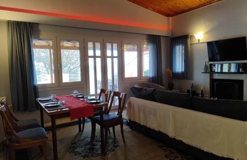 Aigialeia Apartment | Sea View House