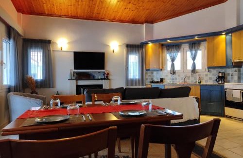 Aigialeia Apartment | Sea View House