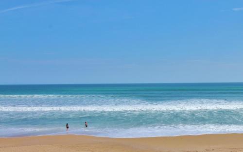 Horton Shores House | Sea View Play