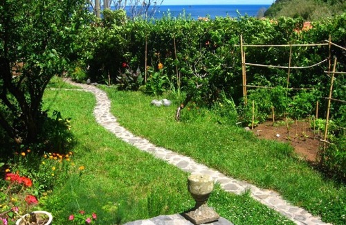 Lajes das Flores Cottage | Sea views over Europe's westmost village - Faja Grande, Flores Island