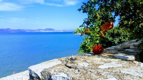 Kiveri Apartment | Seafront apartment in Kiveri, near Nafplion.