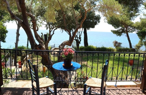 Elia Apartment | Seafront Studio Akti Elia