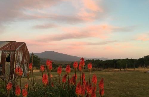 Zeehan Ski Chalet | SeaHen Lodge