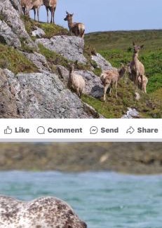 Baleshare Apartment | Seas the Day - self catering lodge North Uist