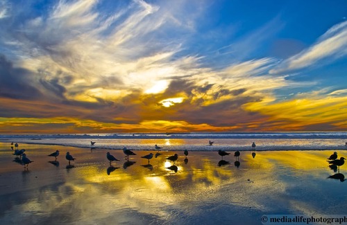 Solana Beach Condo | Seascape Oceanfront Condo! Spectacular View! Prior VRBO #402873