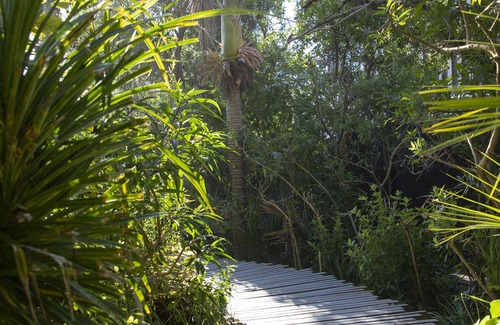 Punakaiki House | Seascapes Holiday House