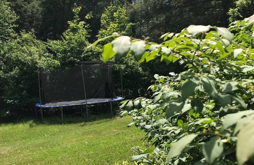 White Lake Cottage | Seasonal Cottages Colony With Outdoor Swimming Pool