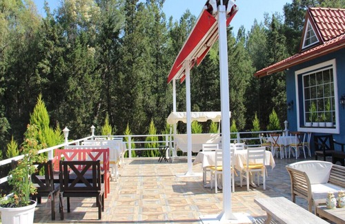 Selcuk Apartment | Secluded Apart Surrounded by Nature in Selcuk